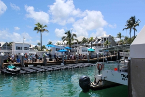 Miami: Key West Boat Tour w/ Optional Snorkeling & Open Bar
