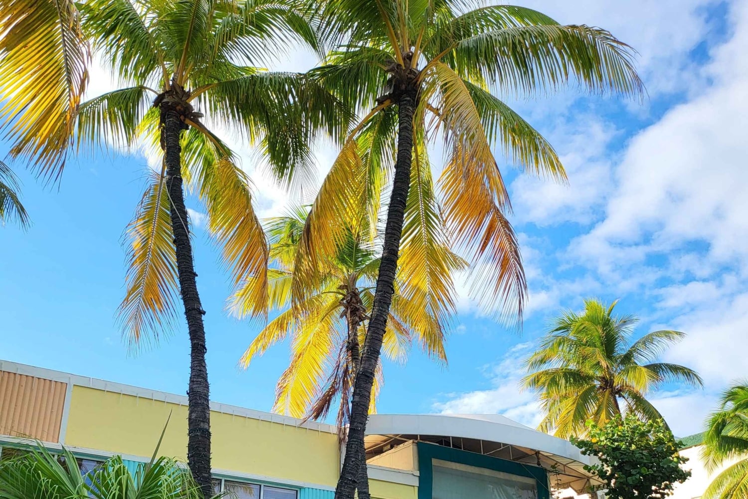 Miami Beach/Miami: prywatna wycieczka po mieście