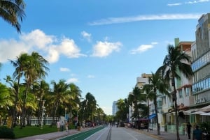 Miami Beach/Miami: prywatna wycieczka po mieście