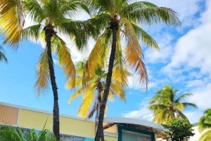 Miami Beach/Miami: prywatna wycieczka po mieście