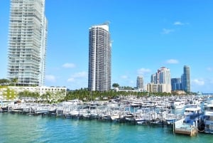 Miami Beach/Miami: prywatna wycieczka po mieście