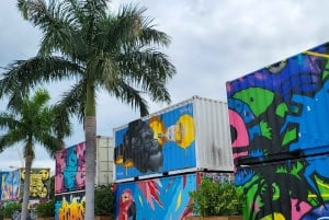 Miami Beach/Miami: prywatna wycieczka po mieście