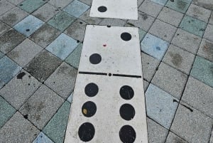 Miami Beach/Miami: prywatna wycieczka po mieście