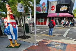 Miami Beach/Miami: prywatna wycieczka po mieście