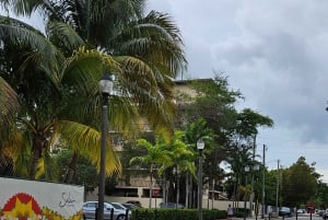 Miami Beach/Miami: prywatna wycieczka po mieście