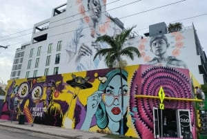 Miami Beach/Miami: prywatna wycieczka po mieście