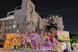 Miami Beach/Miami: prywatna wycieczka po mieście