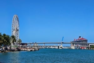 Miami Beach/Miami: prywatna wycieczka po mieście