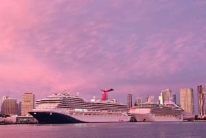 Miami Beach/Miami: prywatna wycieczka po mieście