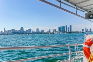 Miami-Beach & Miami Skyline Hop-On & Hop Off Boat Cruise (cruzeiro hop-on hop-off)