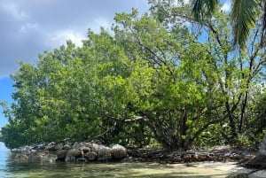 Miami Beach: Private Boat Tour with Captain