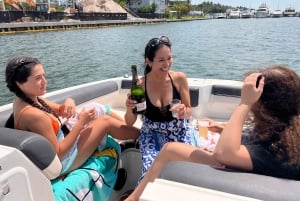 Miami Beach: Private Boat Tour with Captain