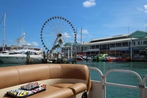 Miami Beach: Millionaire Row Paseo en barco privado