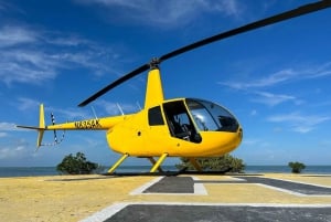 Miami Beach: Tour turístico en helicóptero, idea de regalo única