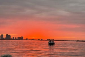 Miami Beach: Spektakulær båttur med sandbank og skyline