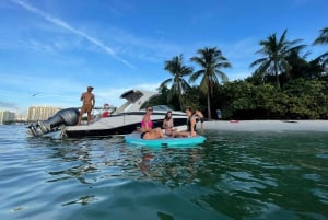 Miami Beach: Espectacular Sandbar & Skyline Tour en barco
