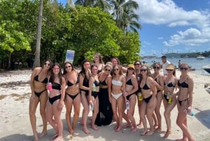Miami Beach: Espectacular Sandbar & Skyline Tour en barco