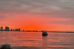 Miami Beach: Espectacular Sandbar & Skyline Tour en barco