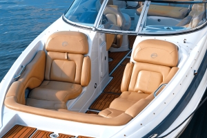 Miami Beach: Espectacular Sandbar & Skyline Tour en barco