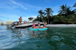 Miami Beach: Espectacular Sandbar & Skyline Tour en barco