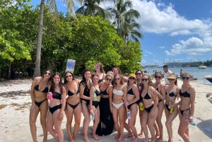 Miami Beach: Espectacular Sandbar & Skyline Tour en barco