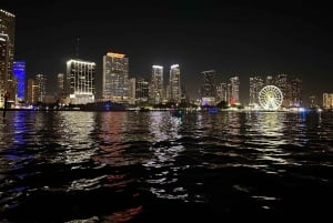 Miami Beach: Espectacular Sandbar & Skyline Tour en barco