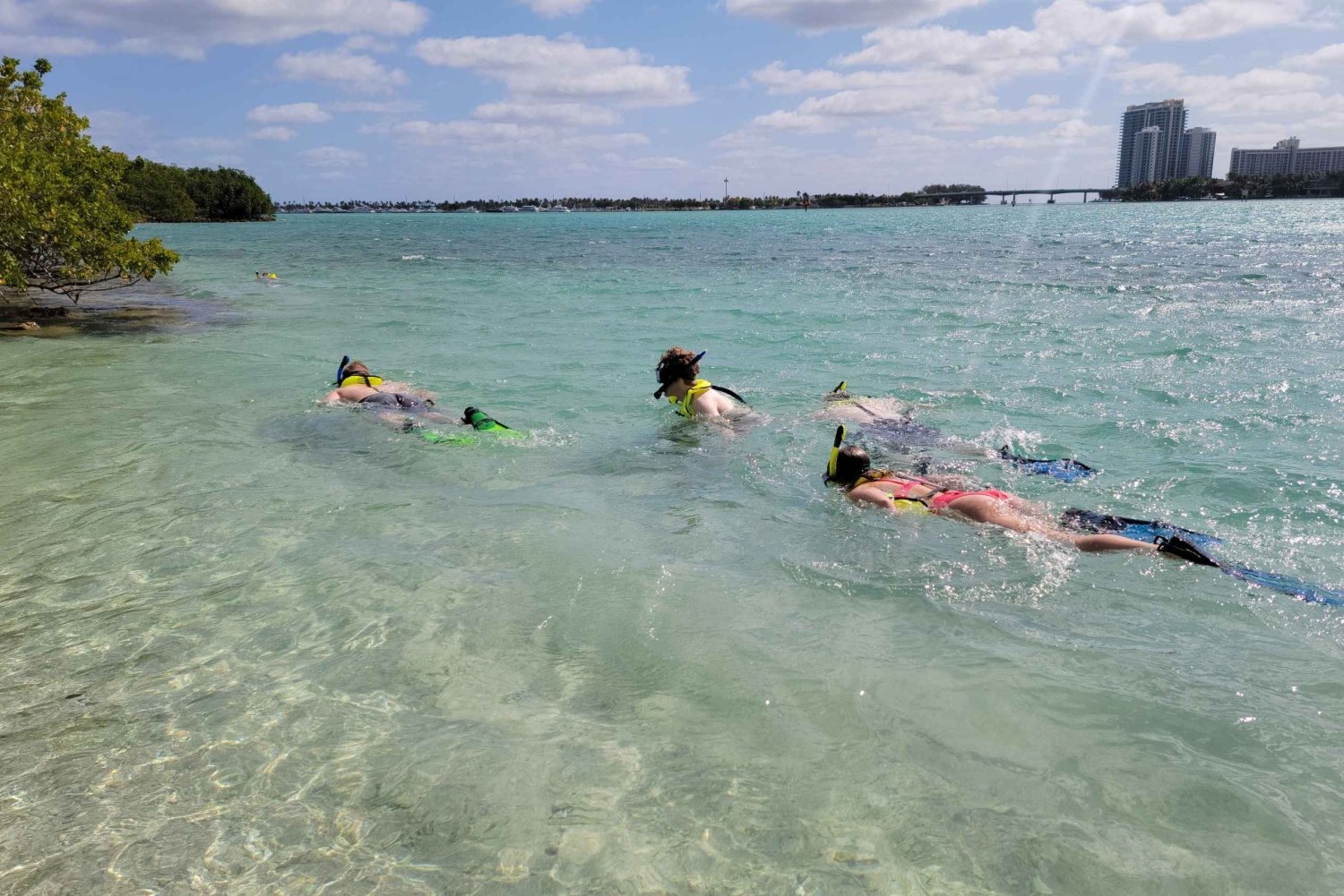 Miami: Beginner-Friendly Island Snorkeling by SUP or Kayak
