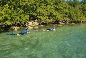 Miami: Nybegynnervennlig snorkling på øyer med SUP eller kajakk