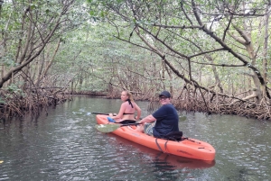 Miami: Begyndervenlig ø-snorkling med SUP eller kajak