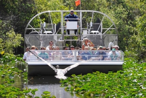 Miami Big Bus Combo: Everglades, City Tour, and Bay Cruise