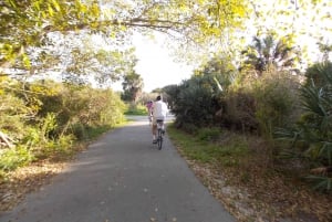 Miami : location de vélo d'une journée