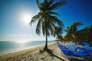 From Miami: Bimini Bahamas Round-Trip Ferry & Hotel Pickup