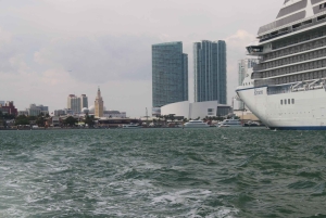 Miami: Crucero turístico por la bahía de Biscayne en Celebrity Homes