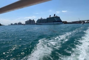 Miami Biscayne Bay: Hop-on Hop-off Boat Cruise