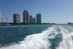 Miami Biscayne Baai: Hop-on-hop-off-boot cruise