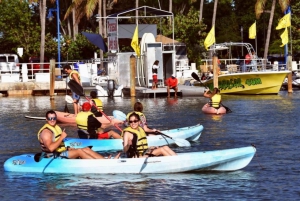 Miami: Biscayne Bay Kayak or Paddleboard Rental