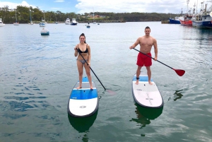 Miami: Biscayne Bay Kayak or Paddleboard Rental