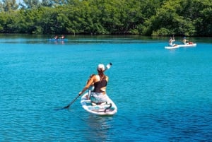 Miami: Biscayne Bay Paddle Tour - PADL Beach Club