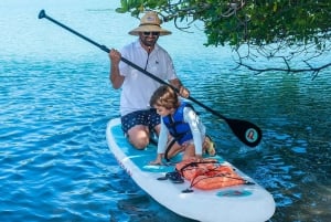 Miami: Biscayne Bay Paddle Tour - PADL Beach Club