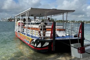 Miami: Excursión en barco para hacer snorkel en una isla aislada de la Bahía de Biscayne