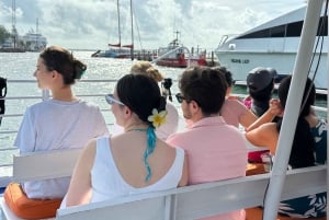 Miami: Biscayne Bay Secluded Island Snorkeling Tour by Boat