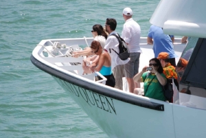 Passeio de barco pela baía de Miami com transporte de Miami Beach