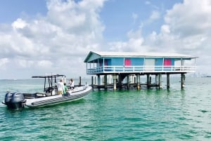 Miami: Guidet tur med en lille gruppe bådtur + ikoniske Stiltsville