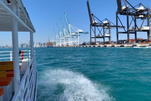 Miami Biscayne Bay: Sunset Boat Cruise & Millionaire Homes