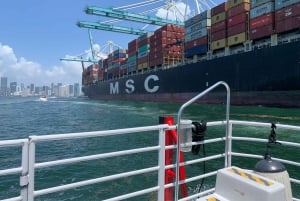 Miami Biscayne Bay: Sunset Boat Cruise & Millionaire Homes