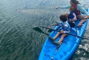 Miami: Biscayne Bay Sunset Paddle Tour - PADL Beach Club