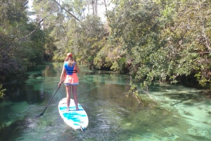 Miami: tour definitivo in barca della baia di Biscayne con esperienza in kayak