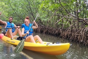 Miami: tour definitivo in barca della baia di Biscayne con esperienza in kayak