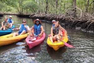 Miami: tour definitivo in barca della baia di Biscayne con esperienza in kayak