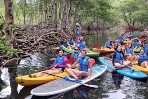 Miami: tour definitivo in barca della baia di Biscayne con esperienza in kayak